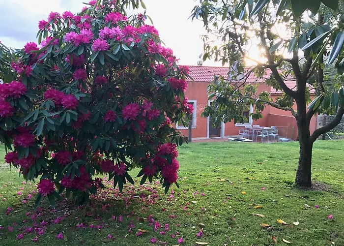 A Casa De Lelo * Ponteceso