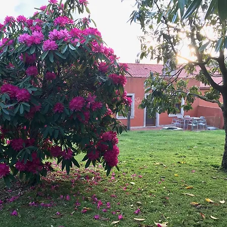 A Casa De Lelo * Ponteceso